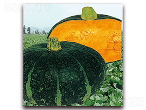 ����-�ϹϷN��-��֮�W