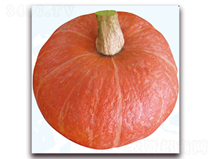 �F�t2̖(h��o)-�ϹϷN��-��֮�W