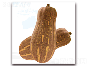 ����1̖(h��o)-�ϹϷN��-��֮�W