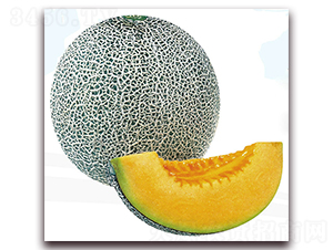 ��W(w��ng)-��ϷN��-��֮�W