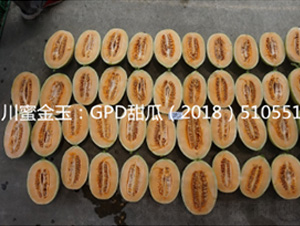 ���۽���-��ϷN��-���؈@ˇ