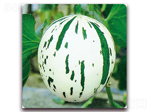 ����������-��ϷN��-��֮�W