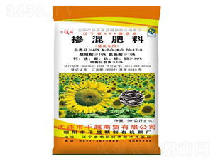 �������20-12-8-ǧԽ