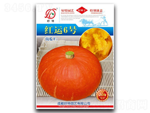 �t�\6̖-�ϹϷN��-���؈@ˇ