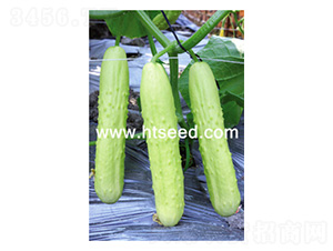 ���@��̖-�S�ϷN��-���؈@ˇ