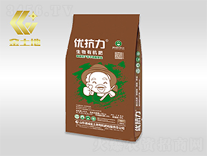 �����ЙC(j��)��-��(y��u)����-������