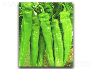 �L�G798-�����N��-���_(d��)