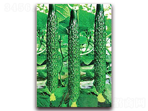 ���_5̖-�S�ϷN��-���_