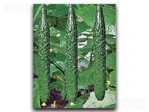 ���_2̖-�S�ϷN��-���_