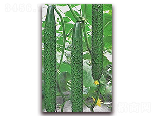 1608-�S�ϷN��-���_