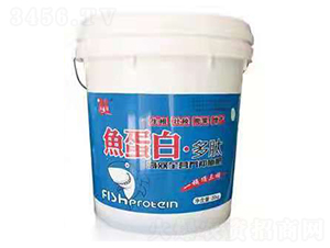 �~���ס�����-����