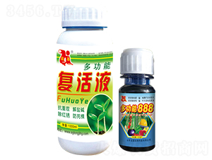 �๦�܏�(f��)��Һ+�๦��888-����