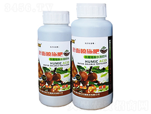 ����ֳ�����~�懊ʩ��-���r(n��ng)����