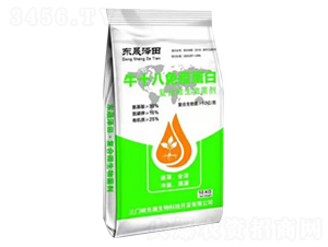 ţʮ�����ߵ���-�|�ɝ���-�|������