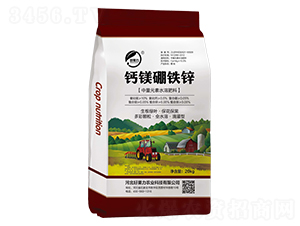 �}�V���\�F-�ù���