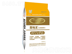 ���������-�����-�|���t