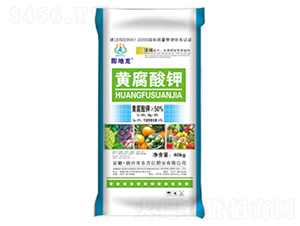 �S�����-�����-�|���t