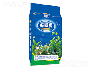 �����-�|���t