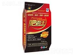 �ʰ���-�|���t