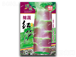 �d�߼t�S-�n�S�N��-�d�߷N�I(y��)