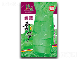 綿蔬青筍-萵筍種子-綿蔬種業(yè)