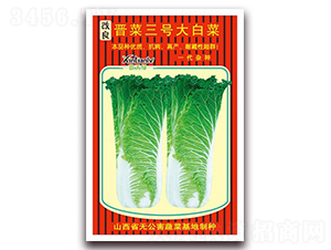 �x����̖��ײ�-�ײ˷N��-���G