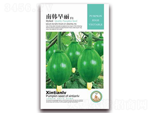 ���n����-�ϹϷN��-���G