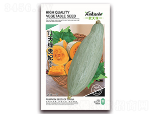 TL��G�F���Ϲ�-�ϹϷN��-���G