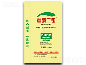 ���׶��@���S����-�й��߿�