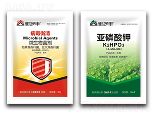 1+1�B���Բ���������-��������-����S