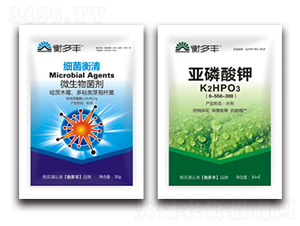 1+1�B���Լ���������-��������-����S