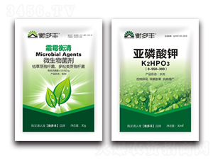 1+1�B����˪ù������-˪ù����-����S