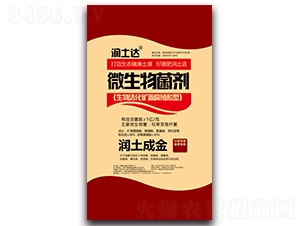 5�|΢�������-�����_-��������