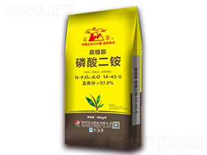 ����ֲ��������@14-43-0-���-�Ĵ����_(d��)