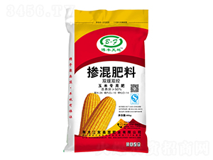 �p���p�����׌��Ó������26-10-14-���S���-������