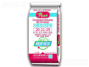 �ú��S-��ጓ������20-11-19-������ͣ��m���}�A�أ�