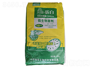 �~(y��)����΢�������-���ϻ�-��������