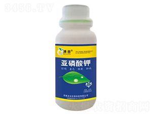 �������-�������