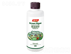 ������Ǐ�(f��)��ԭҺ-�������-�S�A�ʘI(y��)