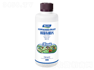 �����ЙC(j��)�}-�S�A��-�S�A�ʘI(y��)