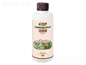 ���w��-�S�A��-�S�A�ʘI(y��)