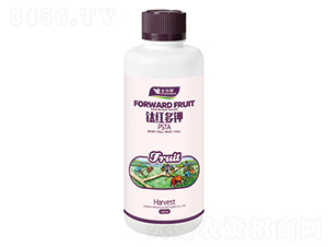 ⁼t���PSTA-�S�A��-�S�A�ʘI(y��)