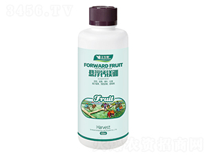 �Ҹ��}�V��-�S�A��-�S�A�ʘI(y��)