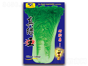 ��G��-�ײ˷N��-���ǷN�I(y��)