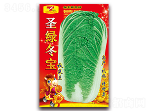 ʥ�G����-�ײ˷N��-���ǷN�I(y��)