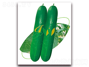 ���S6̖-�S�ϷN��-�I�ھ���