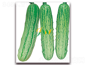 ��Ʒ����S��-�S�ϷN��-�I�ھ���