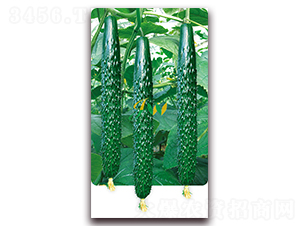 ����101-�S�ϷN��-�I�ھ���