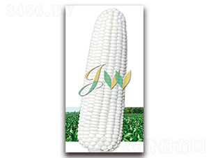 ��ѩ����-�rʳ���׷N��-�I�ھ���