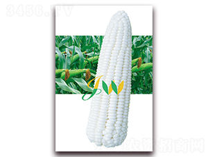 �ܿ�Ŵ-�rʳ���׷N��-�I�ھ���